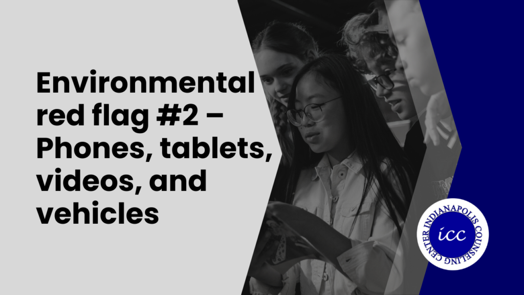 Environmental red flag #2 – Phones, tablets, videos, and vehicles